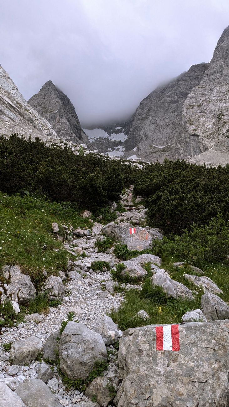 Alpine expedition preview